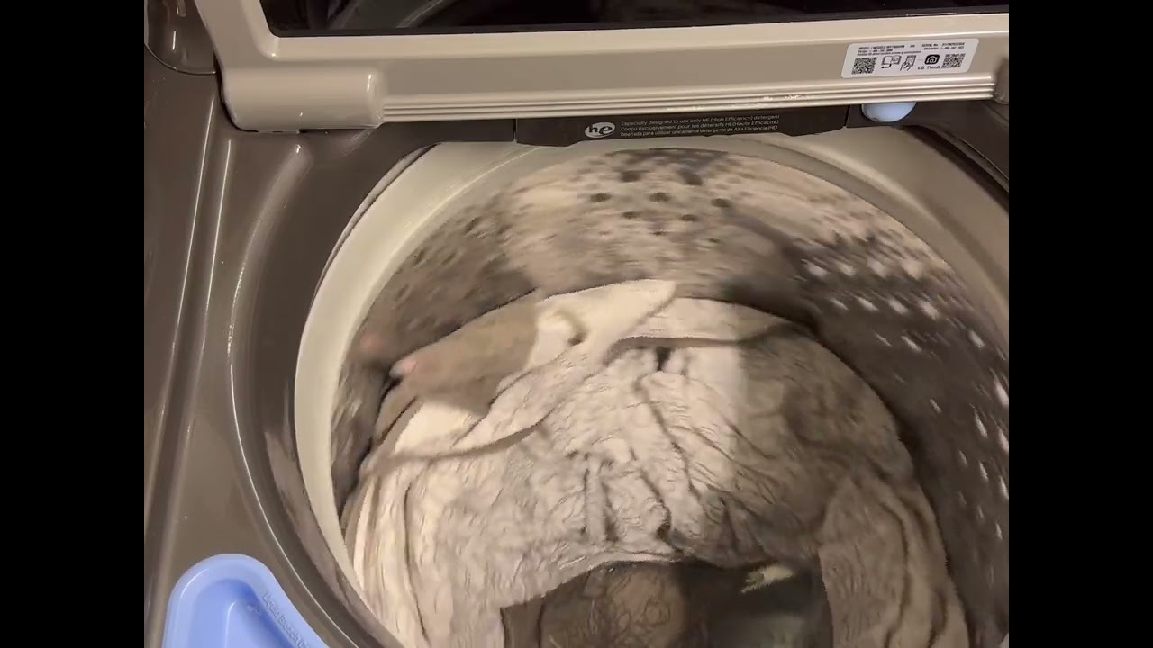 LG top load washer full cycle  ALLERGIENE EXTRA HOT WT7900HBA