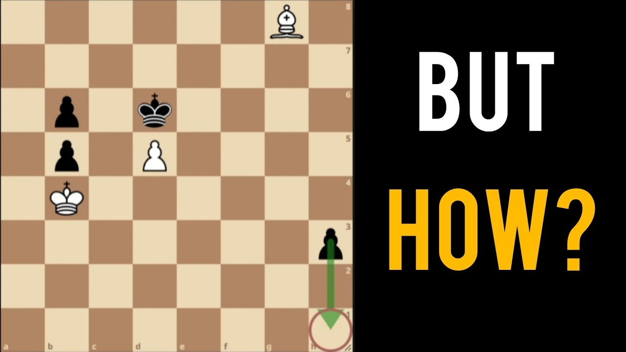 White has a secret way to draw this endgame!!
