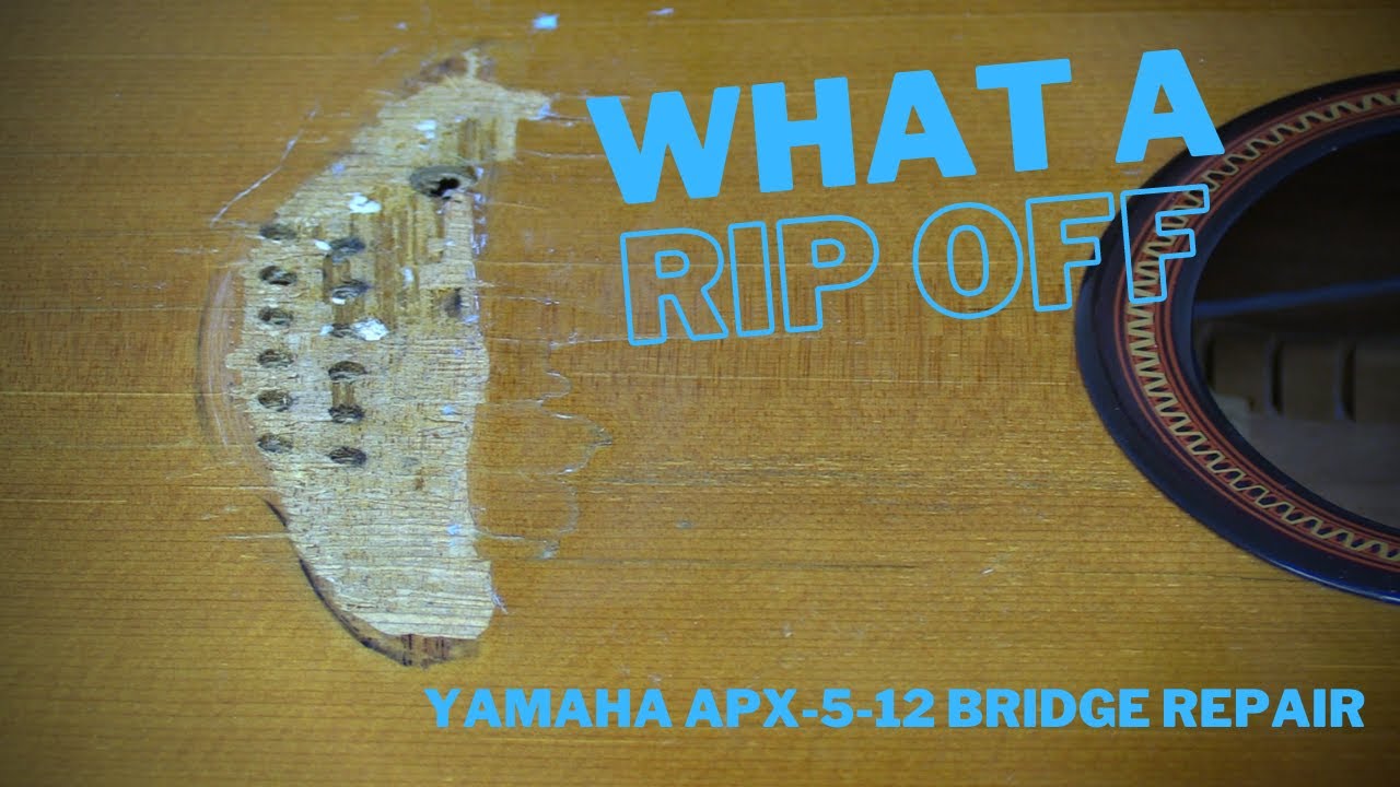 Yamaha APX 5 12 Bridge Repair