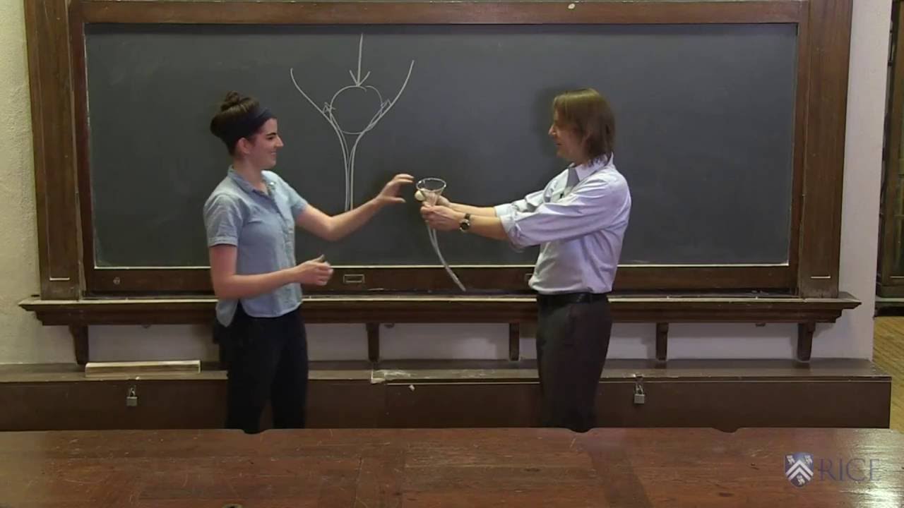PHYS102x Stupid Physics Tricks preview