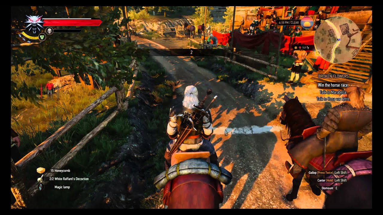 Broken Flowers The Witcher 3 Quest