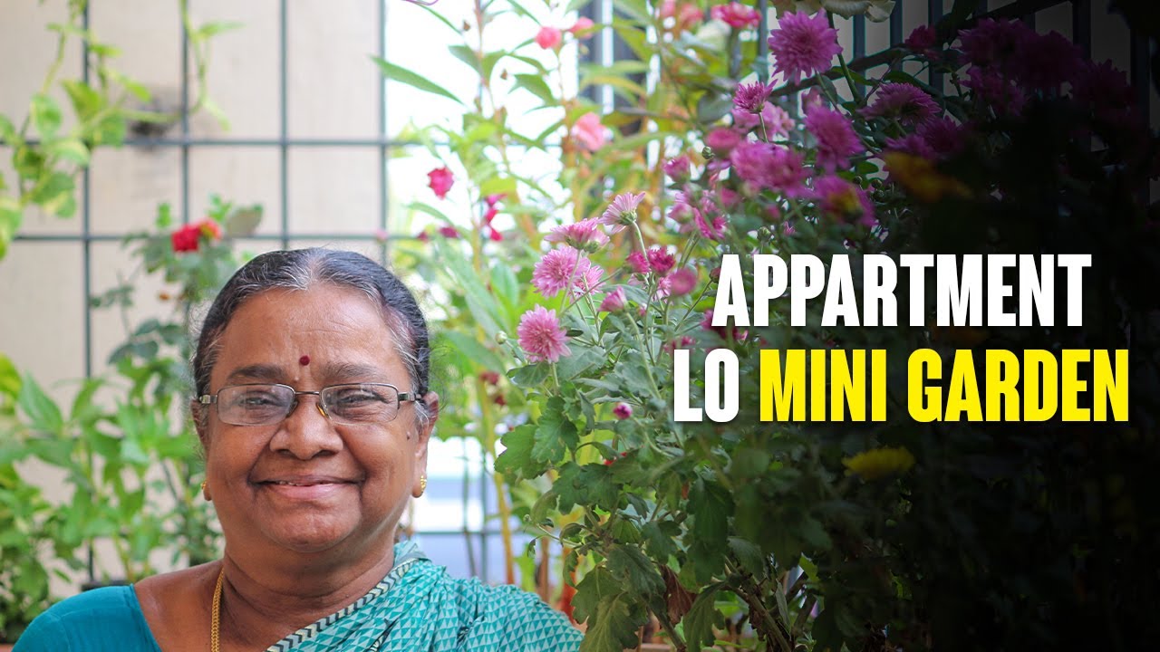 APPARTMENT BALCONY LO MINI GARDEN || BALCONY GARDEN IDEAS #VLOG1