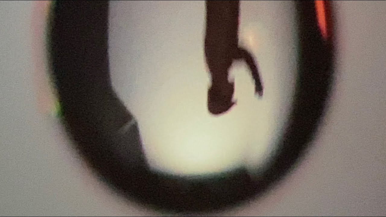 Bill Viola : He Weeps for You, 1976 | James Cohan