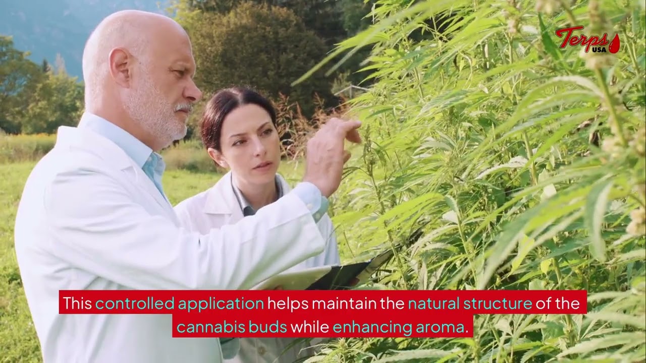 Does Terpene Spray Change the Taste of Weed? &ndash; Terps USA&reg;