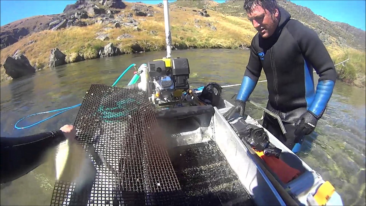 Gold dredging New Zealand 4