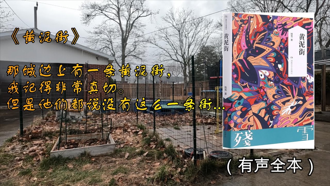 《黄泥街》残雪经典中篇小说光怪陆离乱象纷呈先锋派文学代表作家处女作（有声全本）