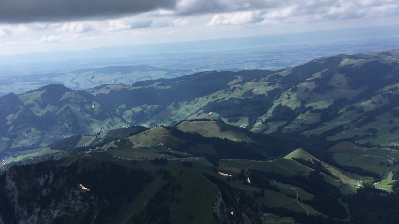 Vautours fauves en Gruy&egrave;re (globetrottair.ch)