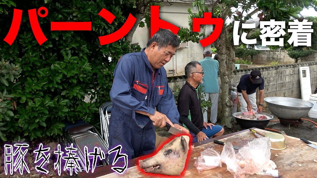 世界無形文化遺産に登録された、伝統行事に密着します！