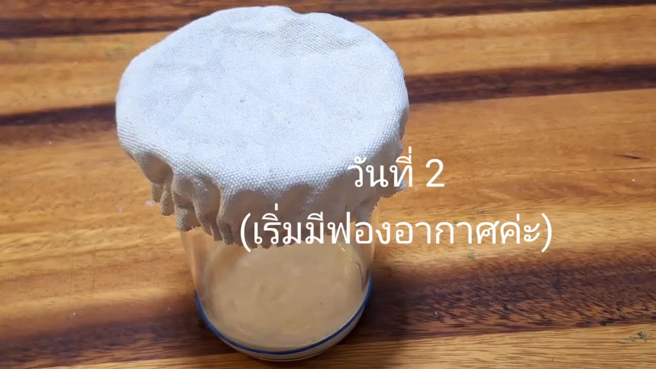มือใหม่หัดทำสตาร์ทเตอร์ | 5 วัน /แบบไม่ตักออกยีสซาวด์โดว์ | ประโยชน์ของซาวโดว์ by  ครัวสุขใจ