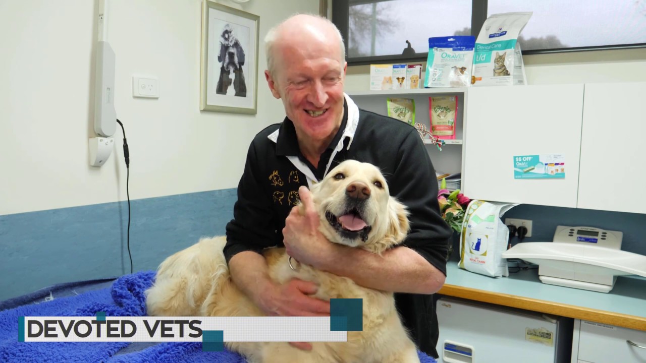 How to check your dog's mouth with Dr. Rod and Bolly