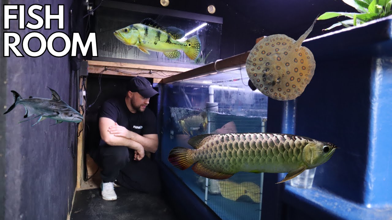 MONSTER fish pond IN a SHED