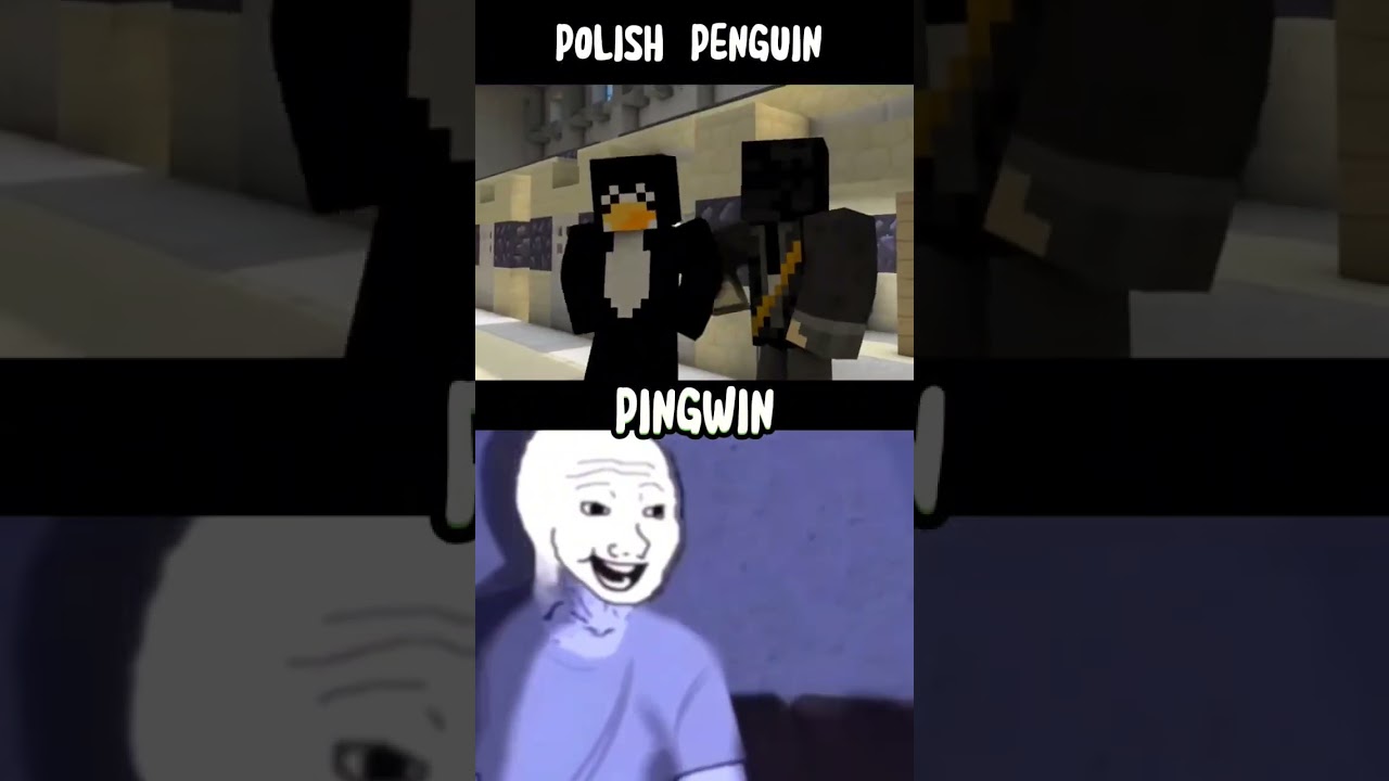 Polski Pingwin then vs Stuu now