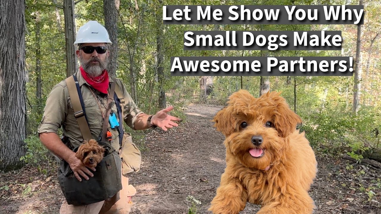 End Small Dog Discrimination | Uncle Stonnie Proves Small Dogs Are Great Adventure Partners!