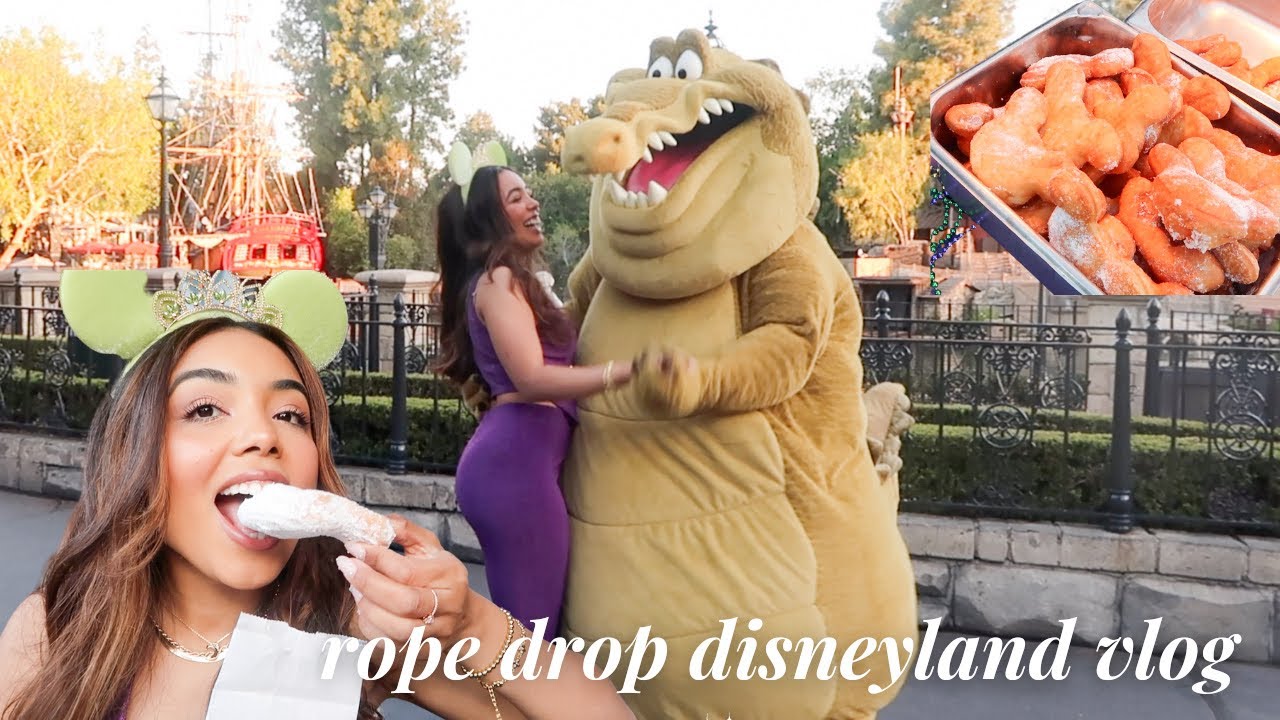 PRIVATE DISNEYLAND PARTY before the park opens vlog!!