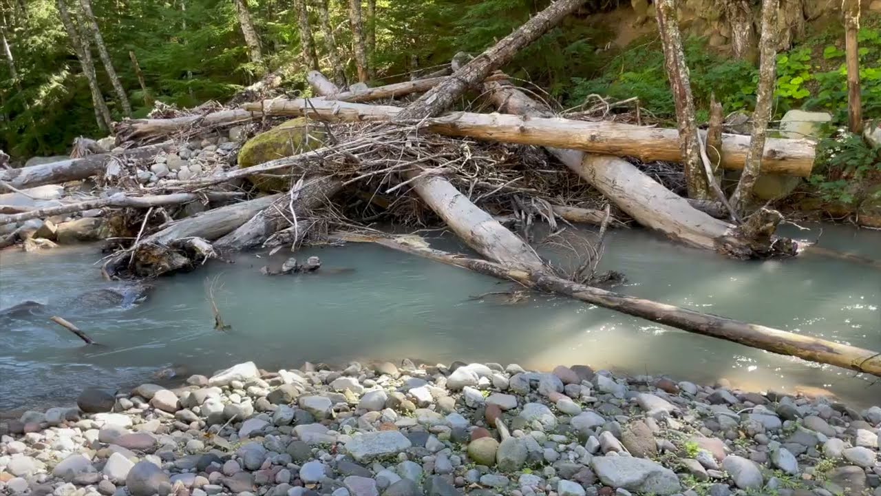 Upper West Fork Hood River at Red Hill Fish Habitat Restoration
