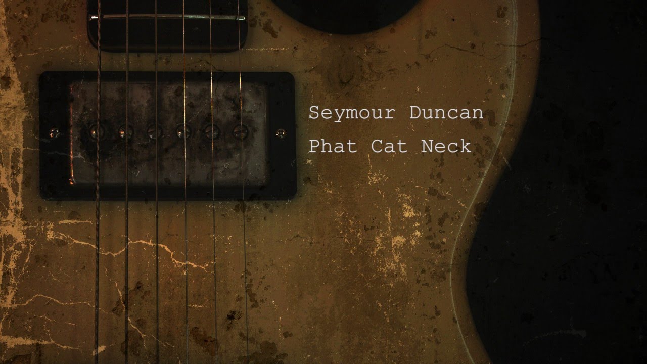 Seymour Duncan Phat Cat Neck | G&L Superhawk