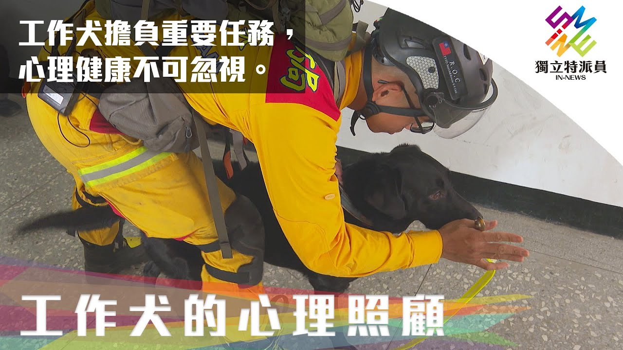 工作犬擔負重要任務，心理健康不可忽視。｜獨立特派員 第737集 (工作犬的心理照顧)