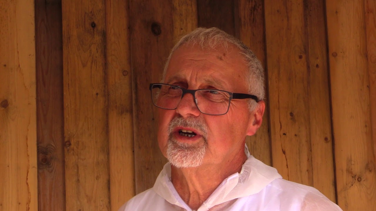 Boymann Baumschulen Bewerbung Naturschutzpreis 2019 Ökologische Projekte auf Firmengeländen