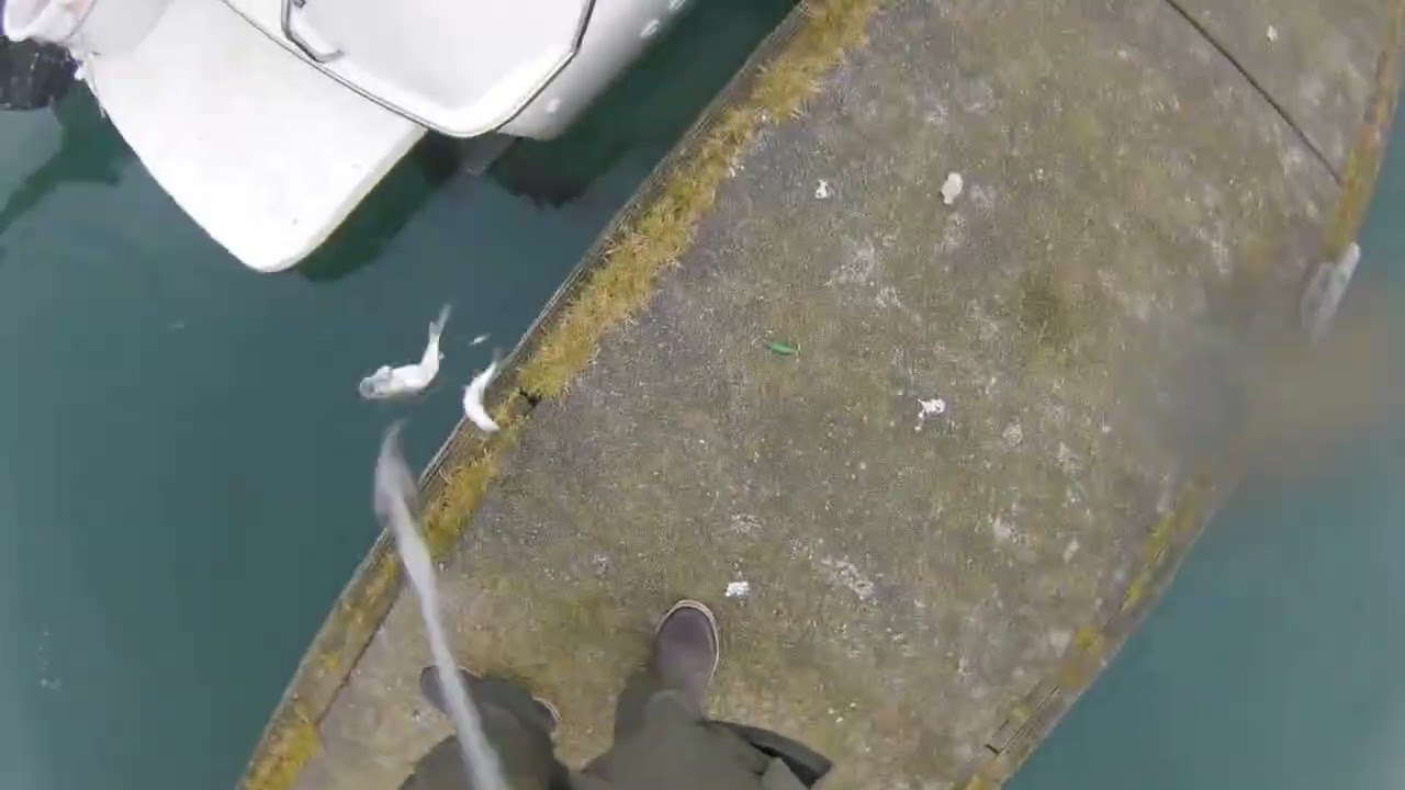 2026 Newport Herring Part 4