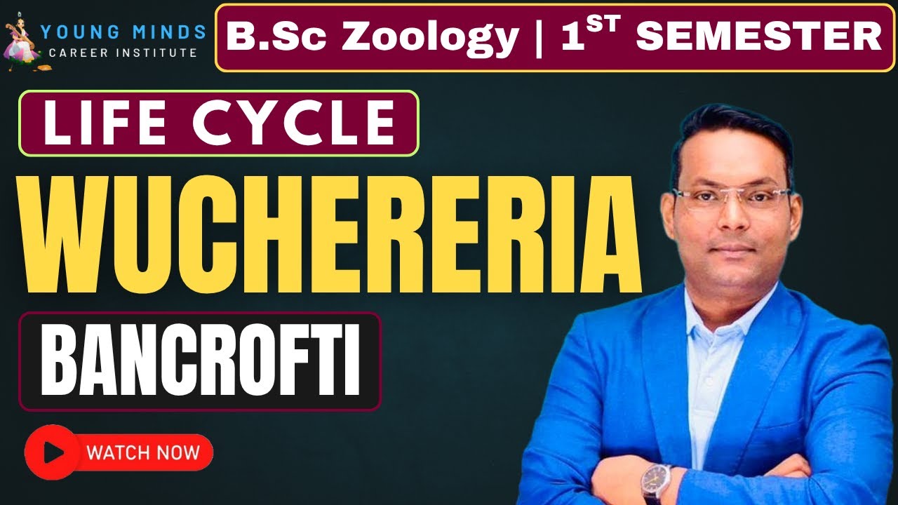 Life Cycle of Wuchereria Bancrofti in Hindi | Pathogenesis | Elephantiasis