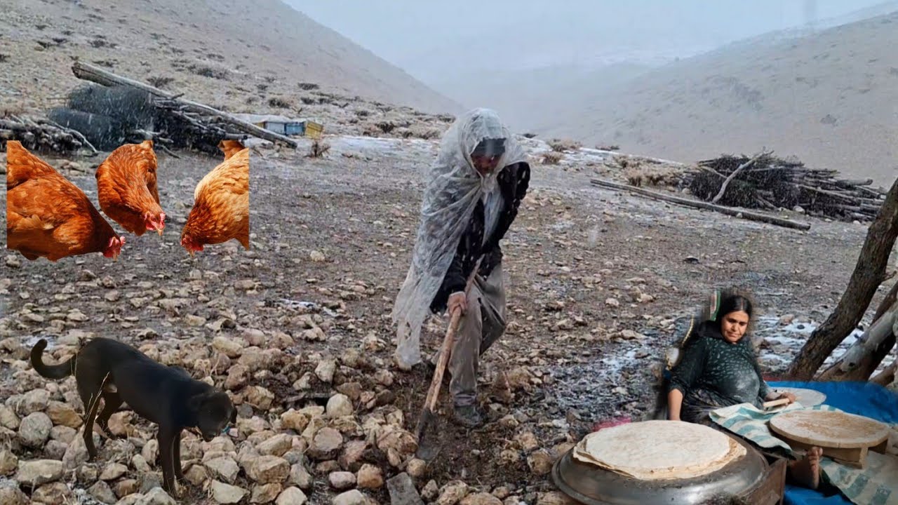 In the heart of snow and cold | Building a shelter for dogs and hot nomadic bread ❄️🔥