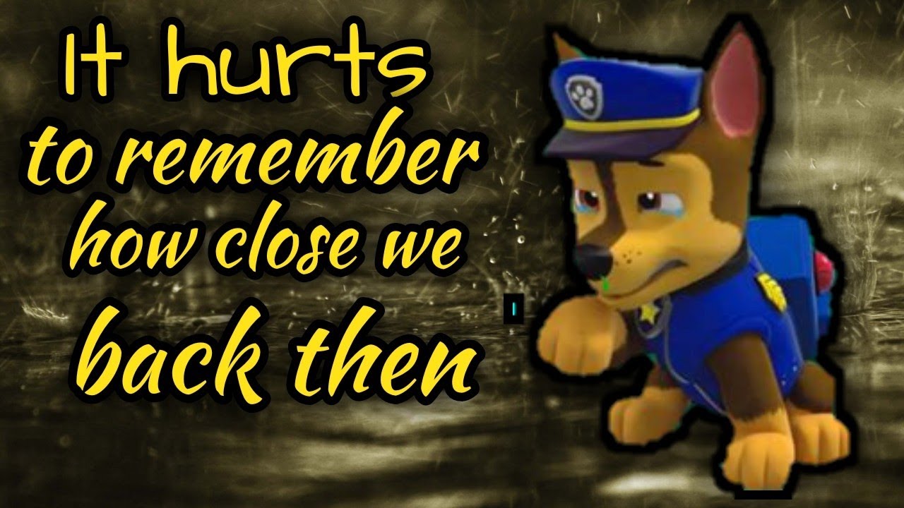 Paw Patrol tribute- Hold on