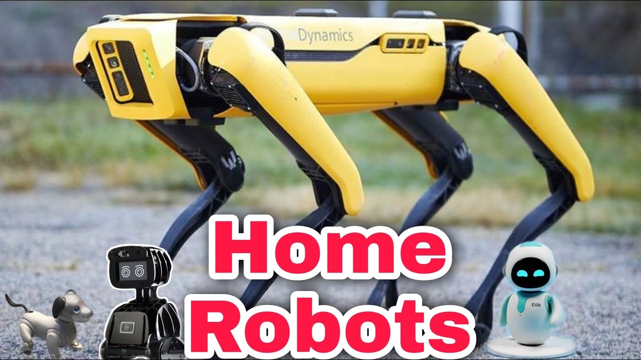 10 Best Home Robots in 2023