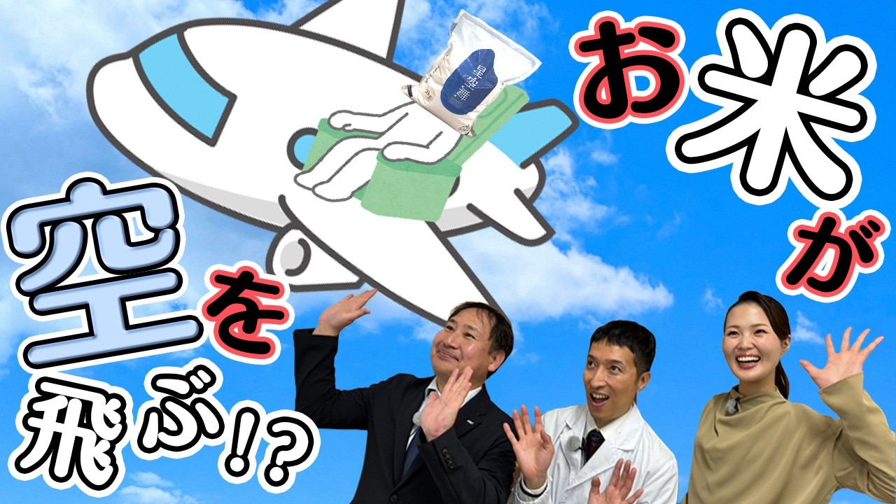 【㊗️✈️ANA機内食採用】First classで世界を飛ぶ！？星空舞