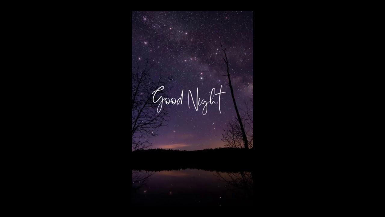 Rain is proof that even gloomy days bring growth// good evening