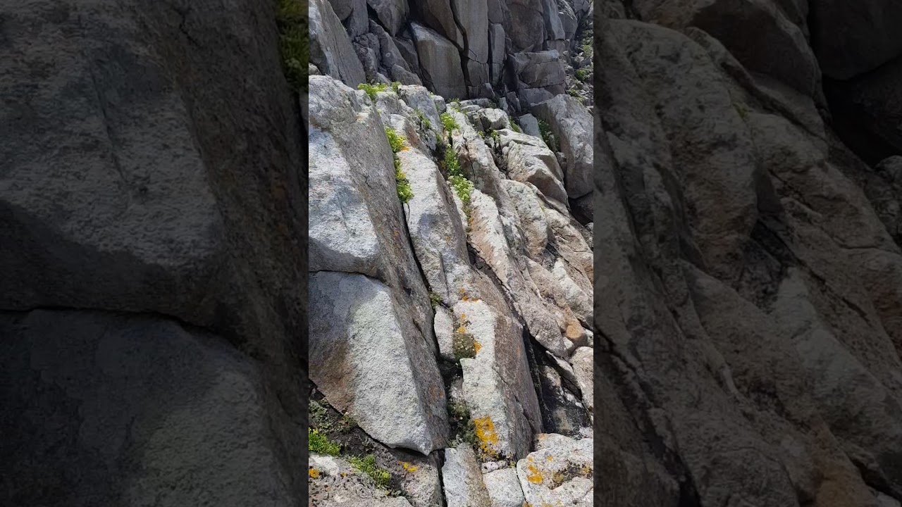 La pointe du millier 29 Finist&egrave;re