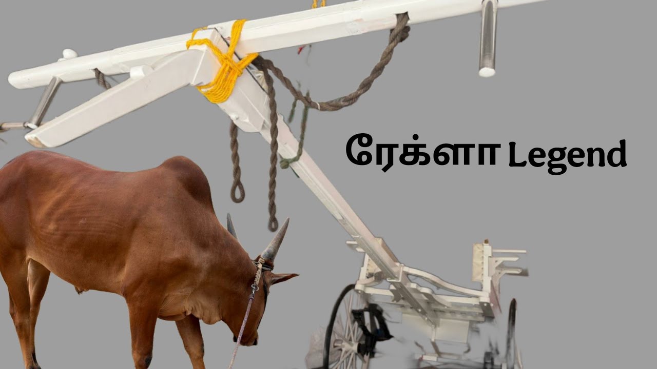 சர்க்கார்புதூர் பாலு அவர்கள் தோட்டத்தில ஒரு நாள் 