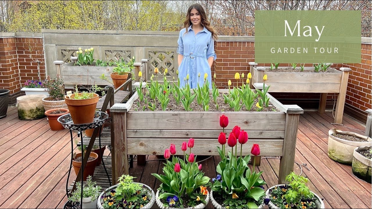 May Container Garden Tour | Rooftop Balcony Garden