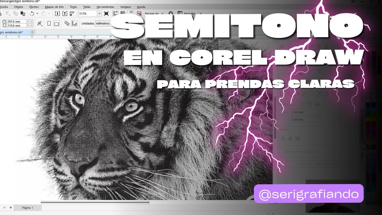 Semitono en corel Draw / Diseño tramado para tela clara en serigrafia
