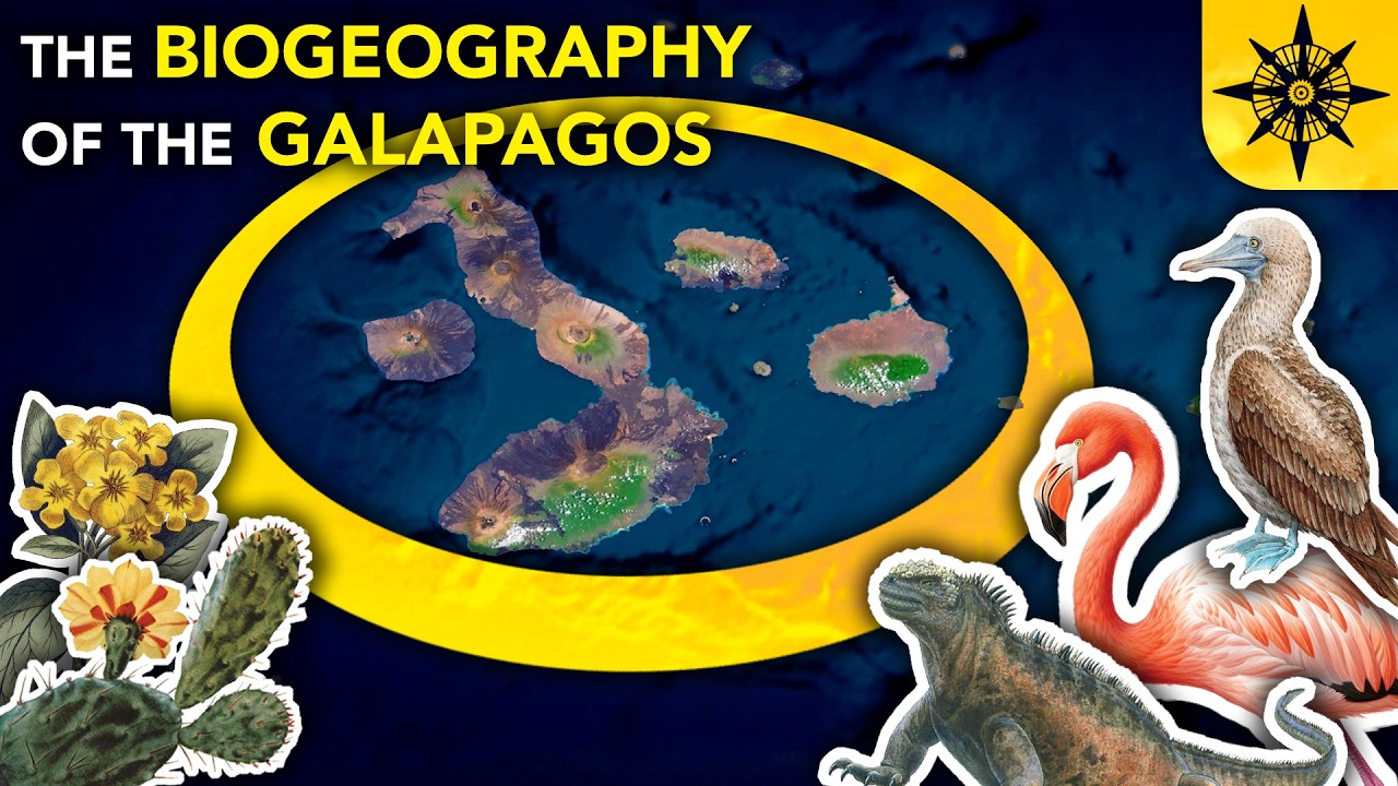 The Amazing Biogeography of the Galapagos