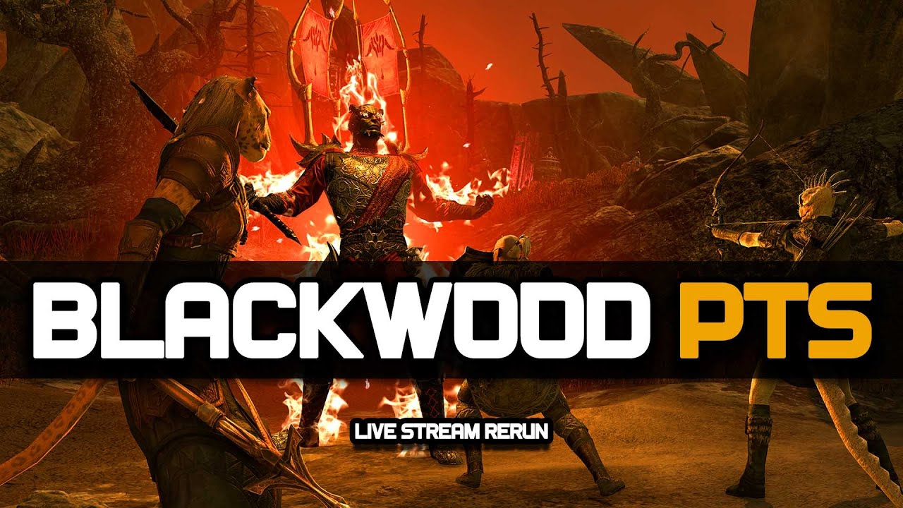 Blackwood Chapter Patch notes!