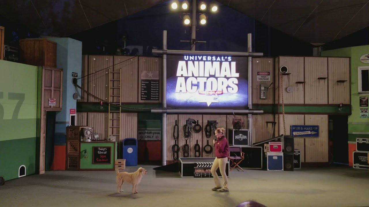 Universal's Animal Actors Show Dec 2017