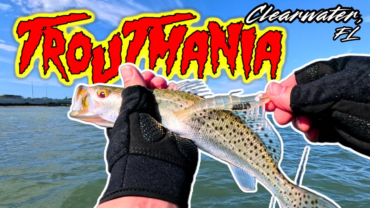 Clearwater Trout Fishing is INSANE Right Now!!! WINTER FRENZY!!!