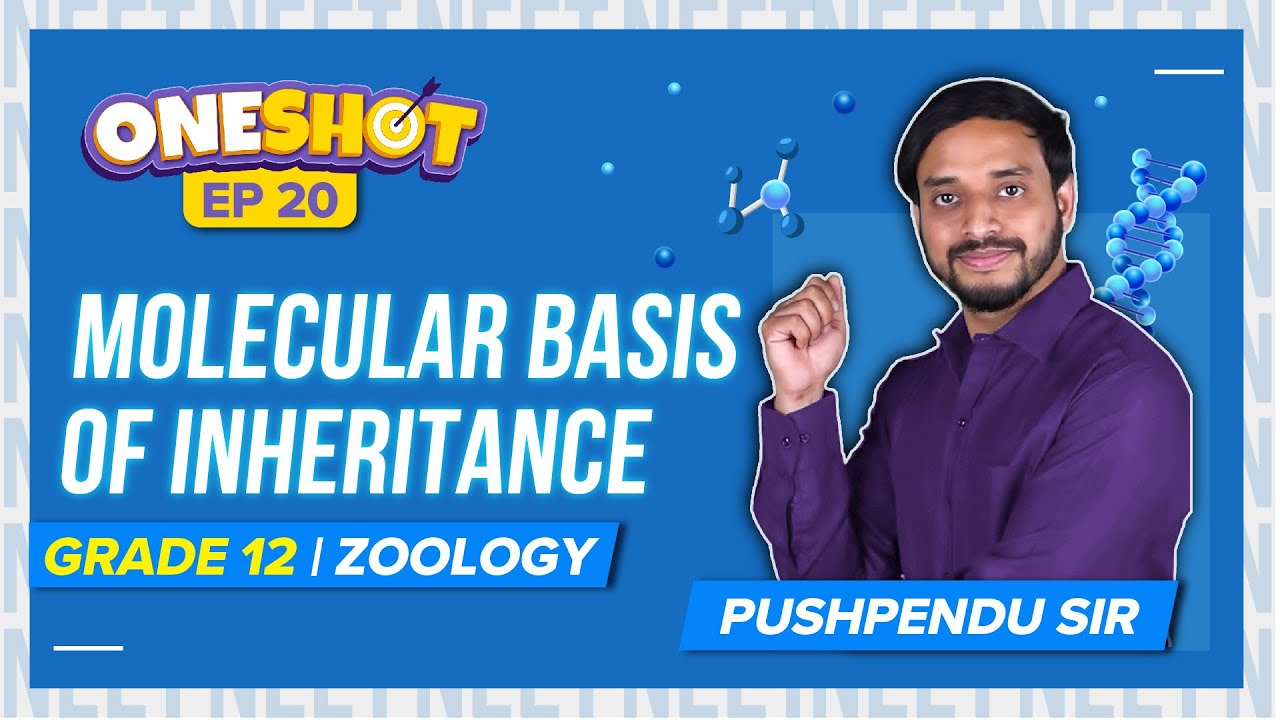 Molecular Basis of Inheritance Class 12 Biology One Shot & Mind Maps (Ep 23) | NEET 2023 Strategy