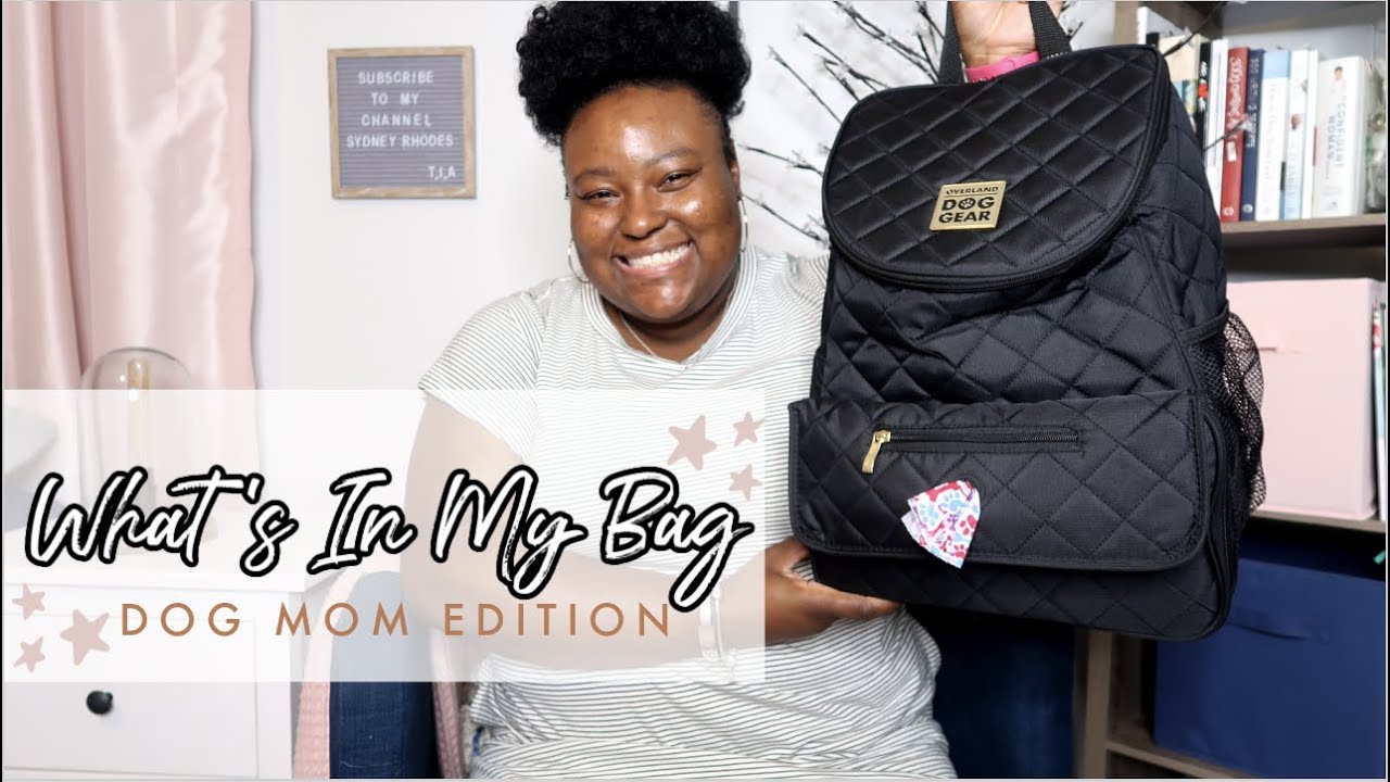 WHATS IN MY DOG BAG ?! | OVERLAND DOG GEAR BACKPACK 🎒