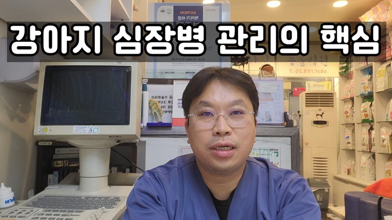 보호자가 꼭 알아야할 강아지 심장병 관리의 핵심