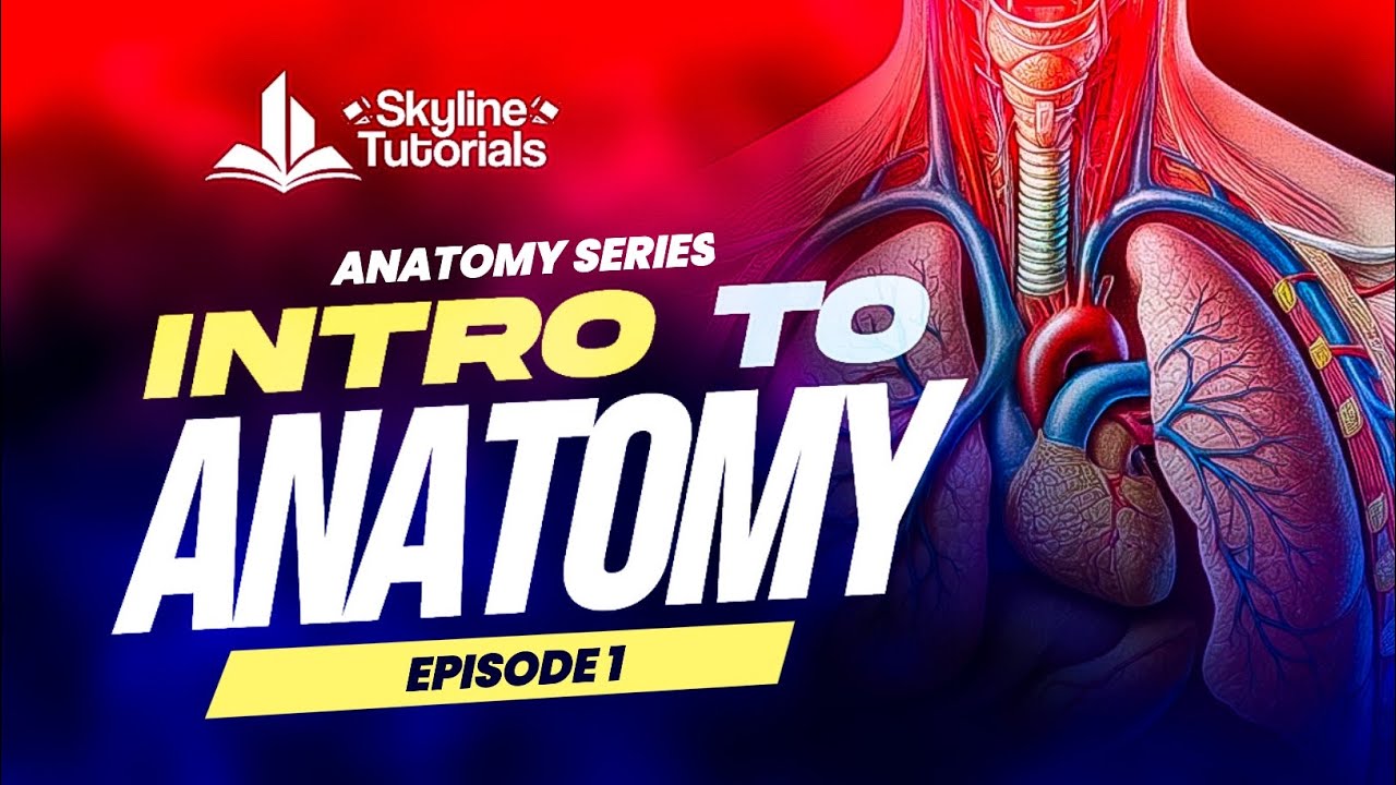 ANATOMY SERIES. EPISODE 1: INTRODUCTION TO ANATOMY