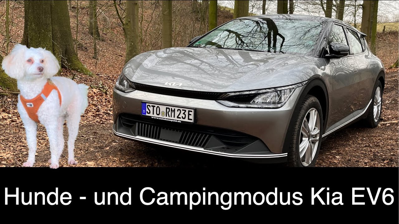 Trick: Haustiermodus und Campmodus im Kia EV6 / Hyundai IONIQ 5 So funktioniert er zuverlässig