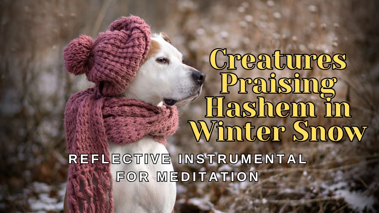 Creatures Praising Hashem in Winter Snow | Daled Bovos Chabad Niggun - Intimate Piano Instrumental