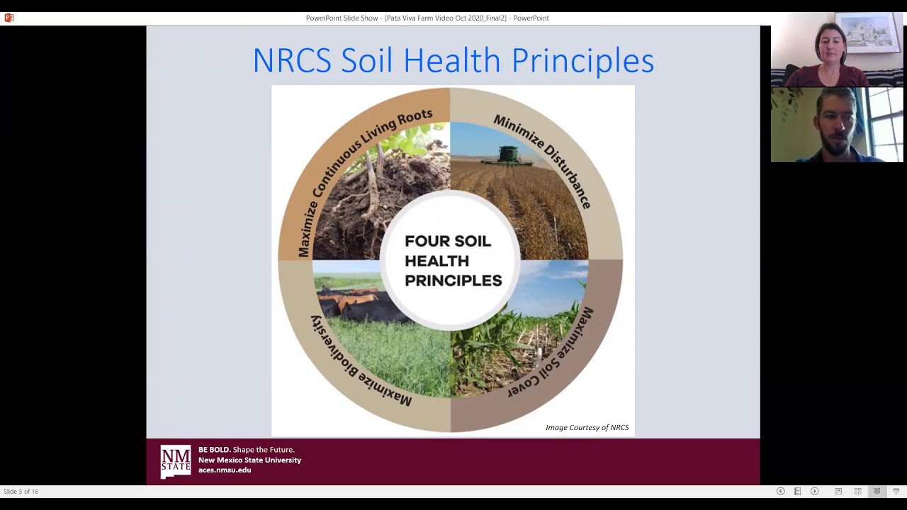 Building Healthy Soil at Pata Viva Farm