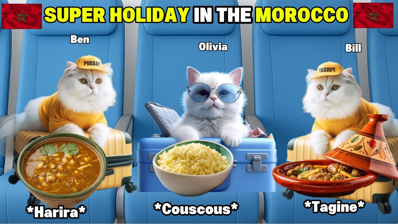 CAT MEMES: Cat Family's Super Holiday In The Morocco