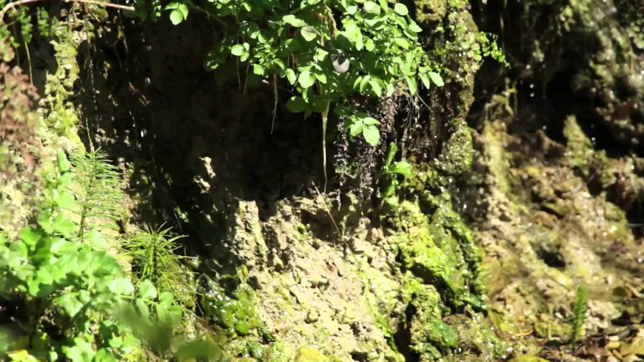 Trigno Sinello Natura