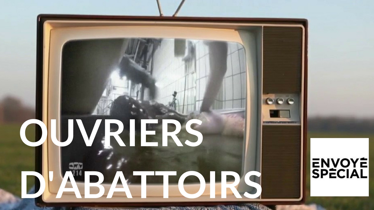 Envoy&eacute; sp&eacute;cial - Ouvriers d'abattoirs : des bourreaux ou des hommes ? - 16 f&eacute;vrier 2017 (France 2)