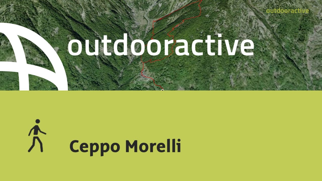 Ceppo Morelli