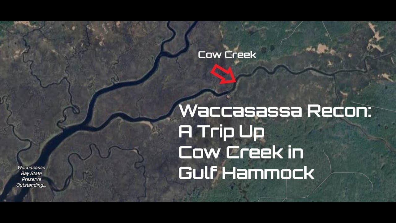 Разведывательный пункт Ваккасасса, от Коу-Крик до Буллфрог-Крик