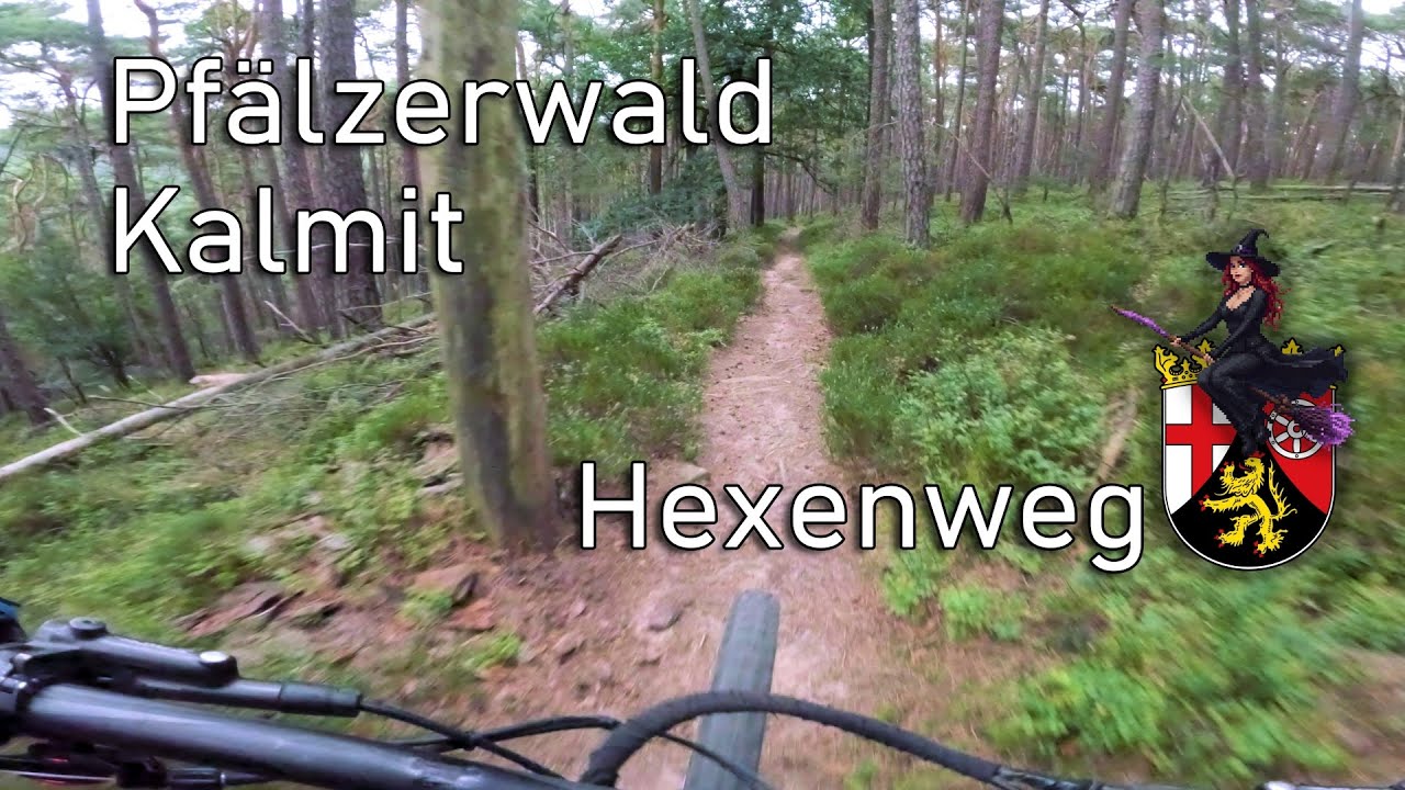 Kalmit Hexenweg - Pfalz // Let's Ride MTB